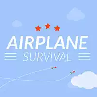 Vliegtuig Survival
