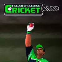Game Tantangan Cricket Fielder