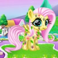 little_pony_caretaker Jeux