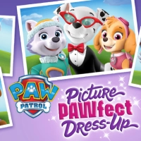 Paw Patrol: រូបភាព Pawfect Dress-Up